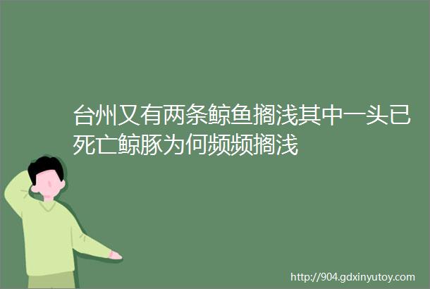 台州又有两条鲸鱼搁浅其中一头已死亡鲸豚为何频频搁浅